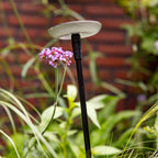 Sway Light Head Black