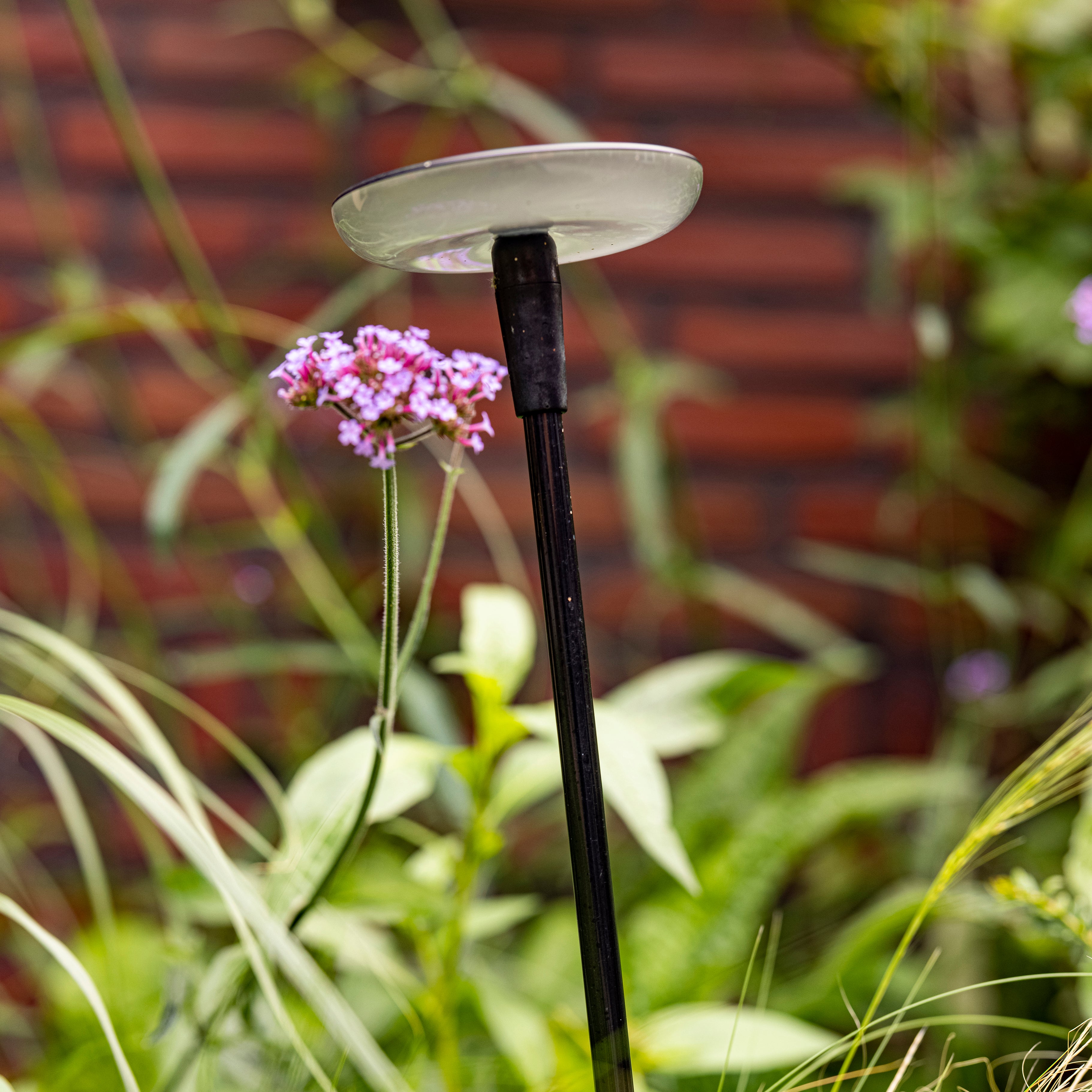 Sway Light Head Black