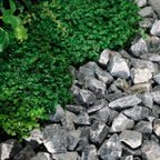 Ardenner split 14-20mm