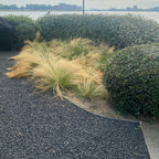 Basalt split 8-11mm