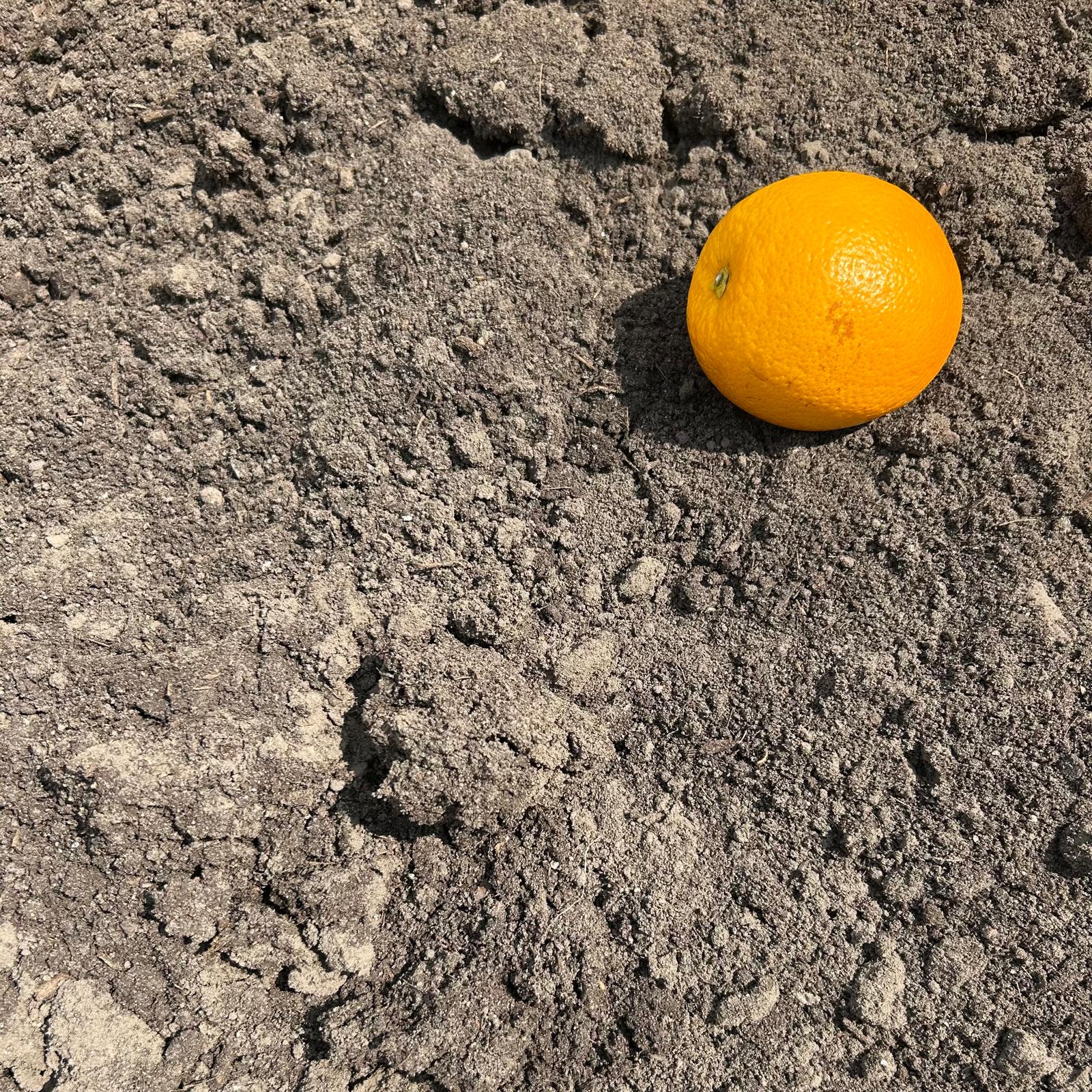 Bemeste tuinaarde